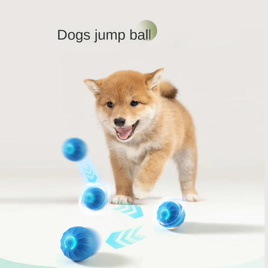 Pelota Interactiva para Mascotas